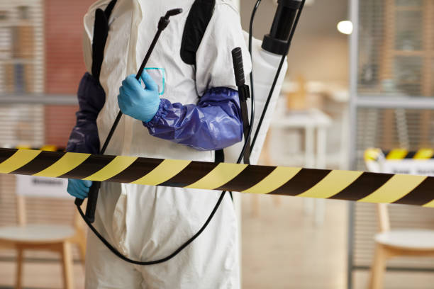 Professional Sewage Cleanup technician working in Harvard, NE